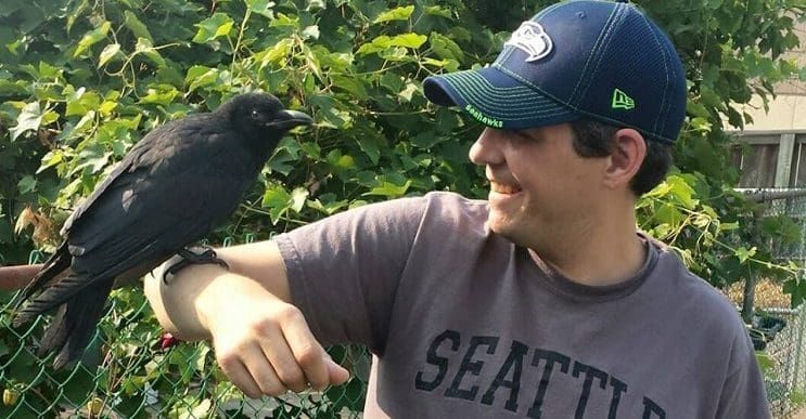 Esta curiosa pareja de mejores amigos cuervo – humano está causando sensación en Facebook