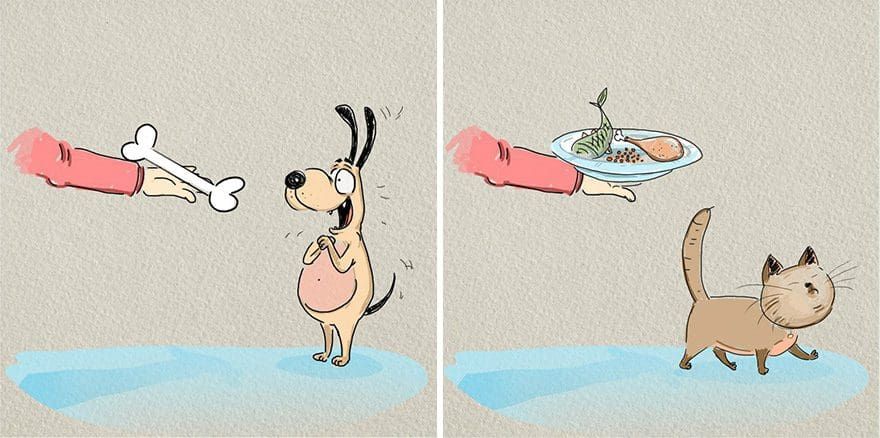 Divertidas ilustraciones que nos muentran algunas diferencias entre Gatos vs Perros