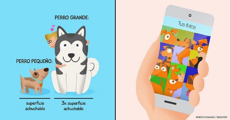 9 situaciones que toda persona con un perro identificará