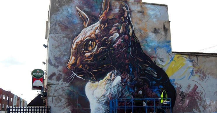 C215: artista urbano embellece las calles con coloridos gatos