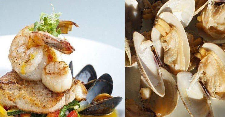Alimentos que podrían llevarte a la muerte: Descubre qué debes evitar para no caer intoxicado