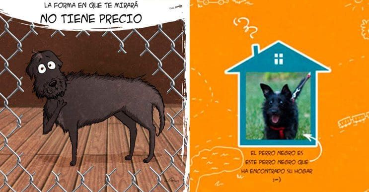 Emotiva ilustración nos muestra la importancia de la adopción de animales