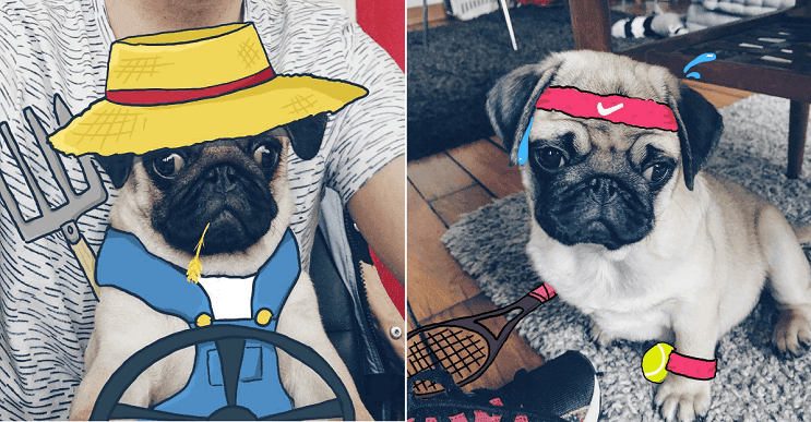 Esta pareja le encanta hacer doodles con su pequeño Pug y el resultado es sorprendente