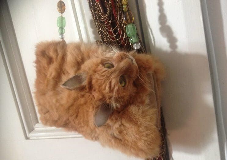 Este artista convierte a un gato muerto en una nueva cartera