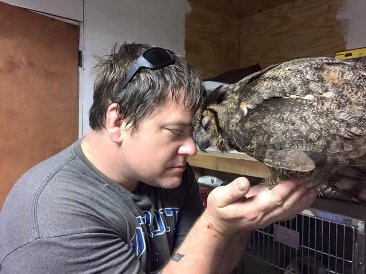Este búho reconoció al hombre que lo salvó y le dio un enorme abrazo