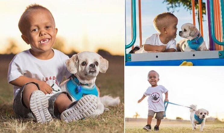 Este perro ayuda a este niño con enanismo a enfrentarse a quienes se burlan de él