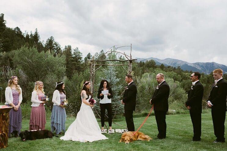 Este perro guardó todas sus últimas energías para poder estar presente en la boda de su dueño