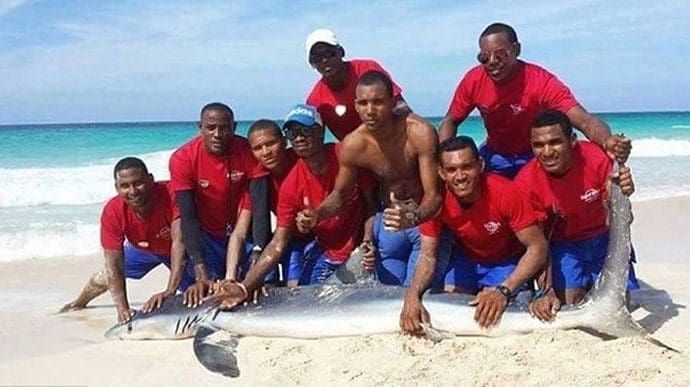 Querían tomarse una foto y su idiotez mató un tiburón