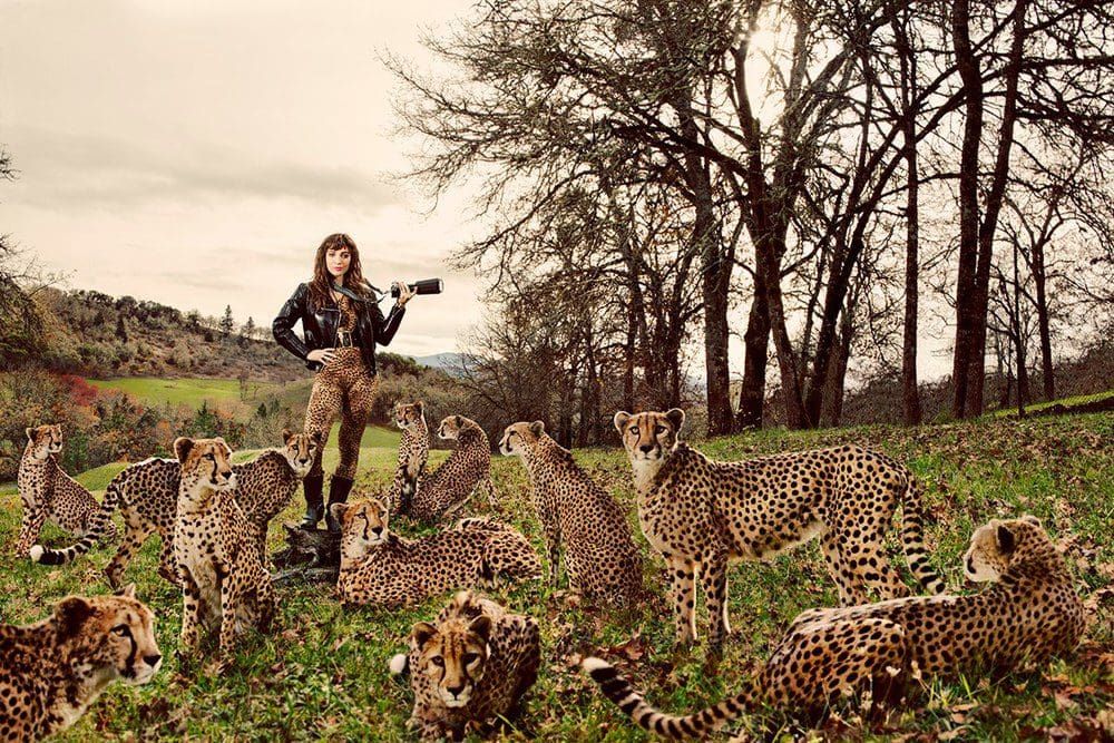 Impresionante fotografía animal