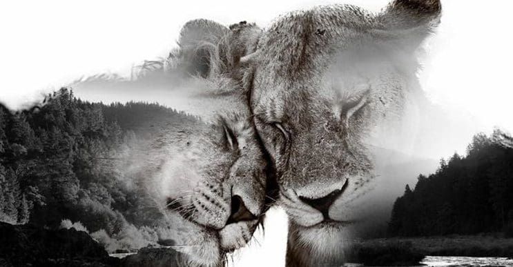 Fotografía de doble exposición: un nuevo mundo para explorar