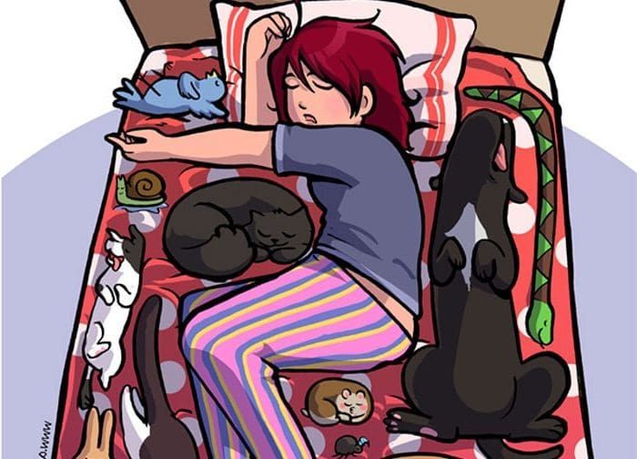 19 ilustraciones detallan cómo es vivir con gatos
